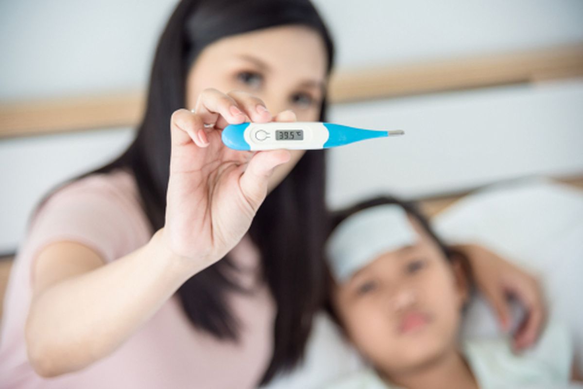 Waspada! Demam Berdarah Kini Mengintai Sepanjang Tahun, Dokter Ungkap Fakta Menarik