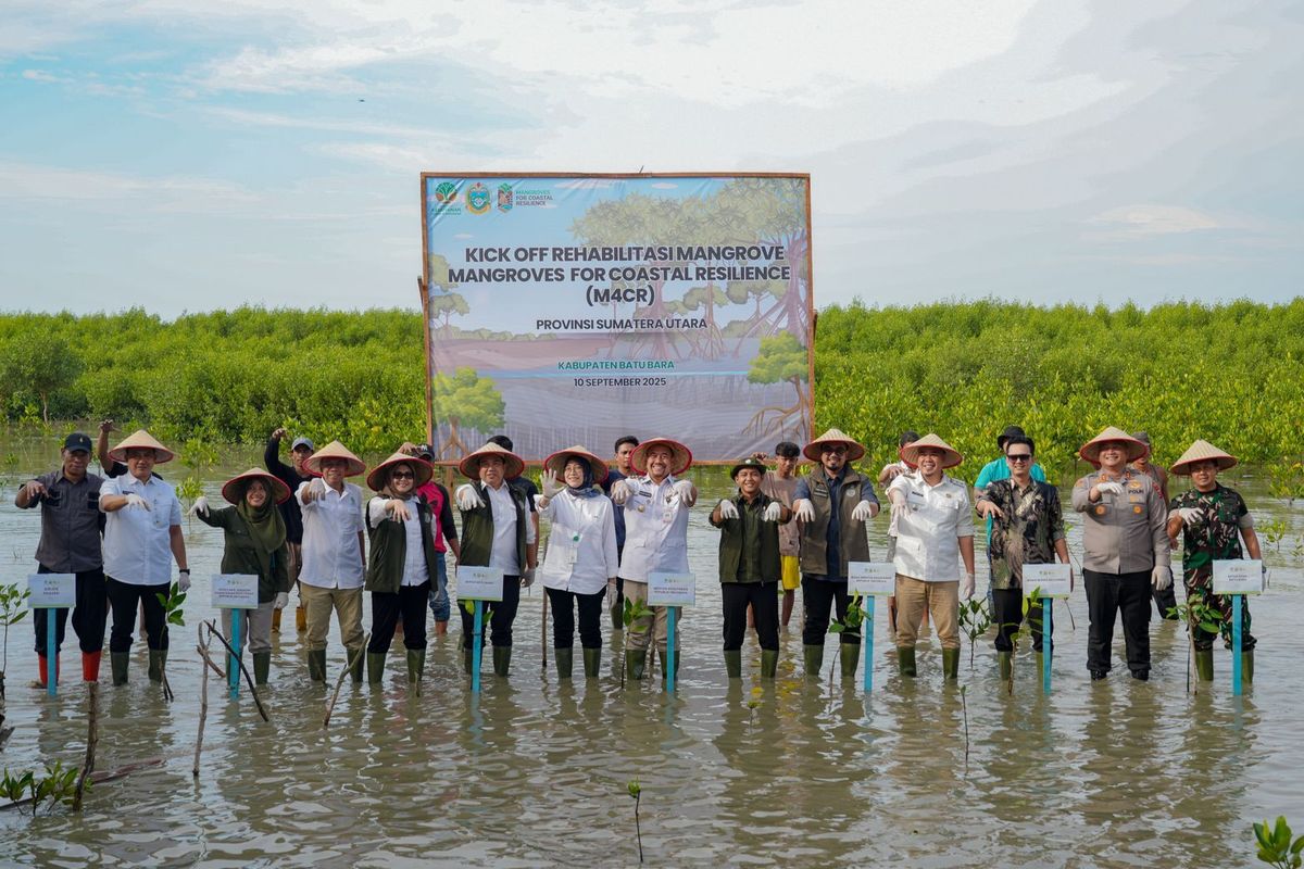 Menhut Canangkan Rehabilitasi Mangrove 15.387 Hektar dalam Kick Off M4CR