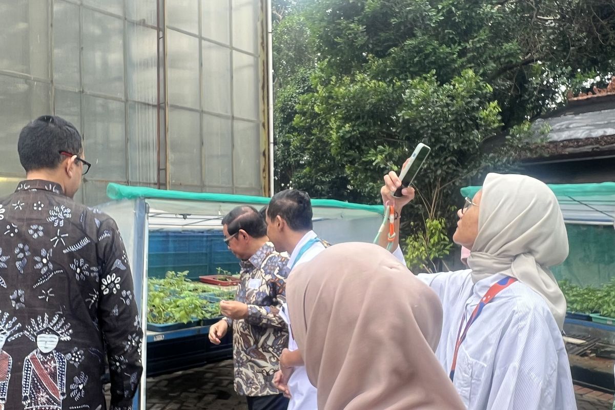 Ladang Farm Cetak 2 Ton Sayuran Hidroponik Bulanan, Pramono Anung Terpukau!