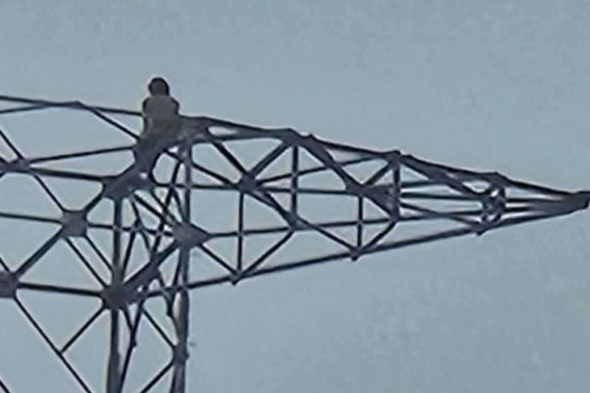 Gila! Pemuda Jakut Berani Panjat Tiang SUTET 30 Meter dalam Kondisi Halusinasi