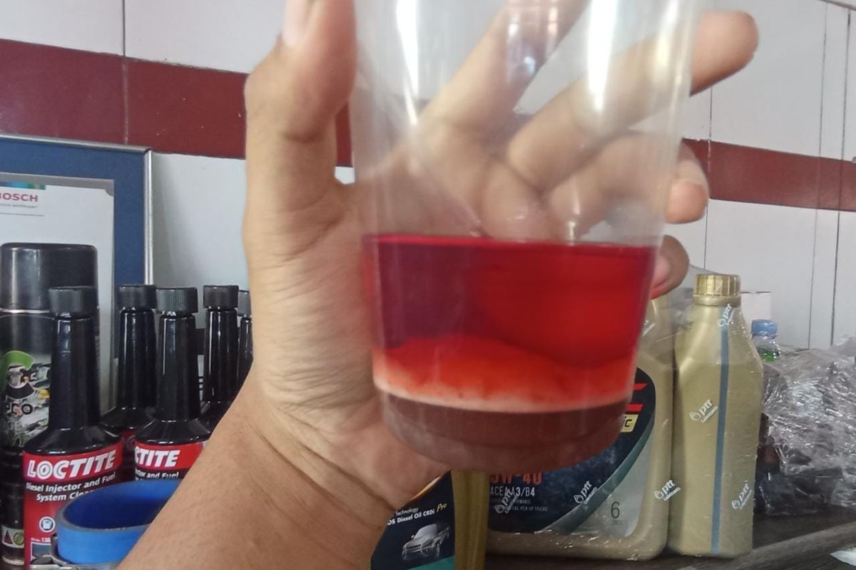 Apakah Biosolar Penyebabnya?