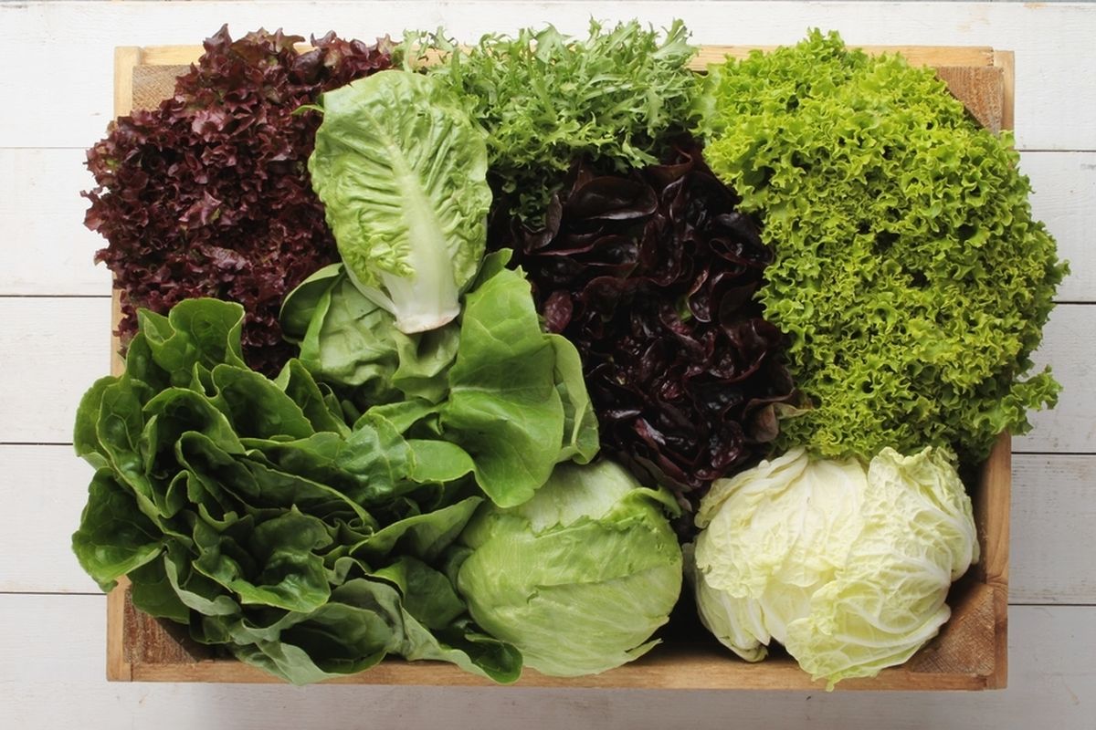 Benarkah Banyak Makan Sayur Bisa Bantu Turunkan Berat Badan? Simak Penjelasan Dokter!