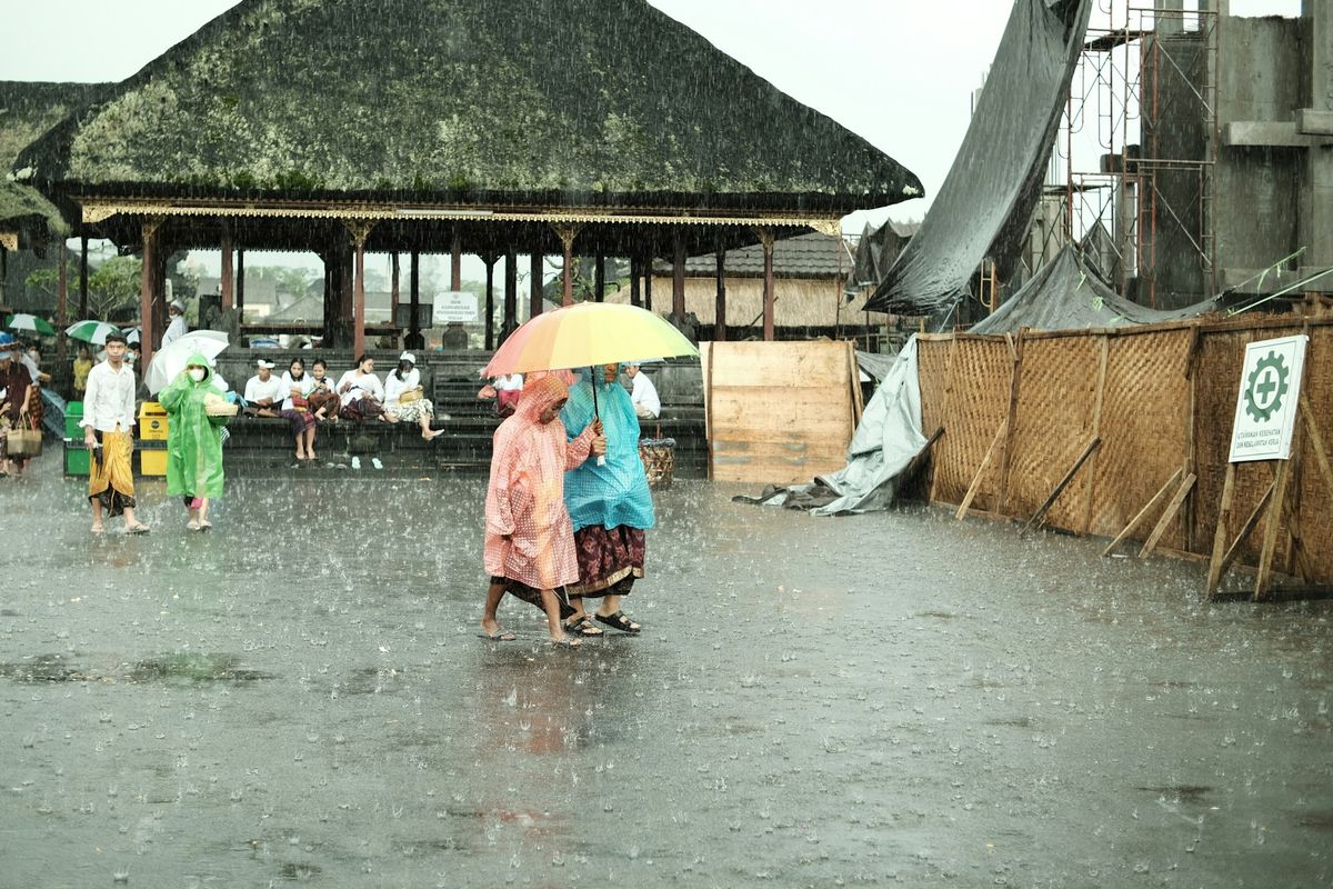 Waspada DBD di Musim Hujan! Dirut BPJS Kesehatan Peringatkan Potensi Lonjakan Kasus