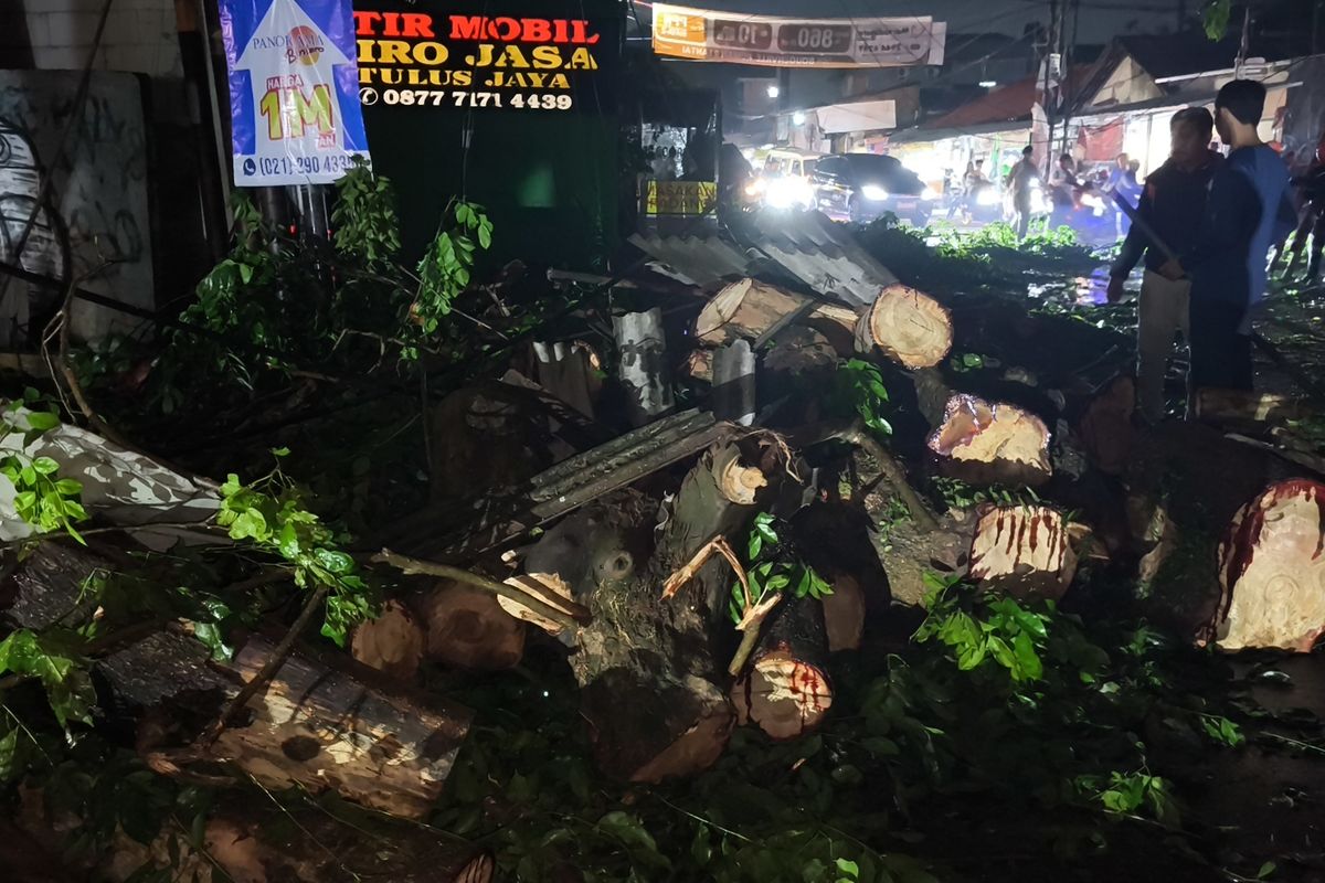 Pohon Tumbang Akibat Hujan Deras Hantam Mobil & Tiang Listrik di Ciputat