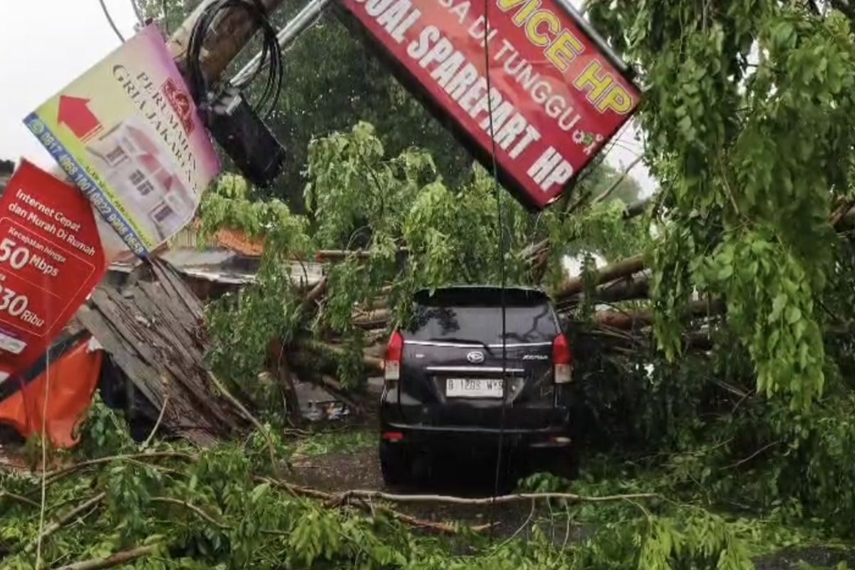 Hujan Angin di Tangsel Tumbangkan Tiga Pohon, Satu Anak Alami Luka Ringan