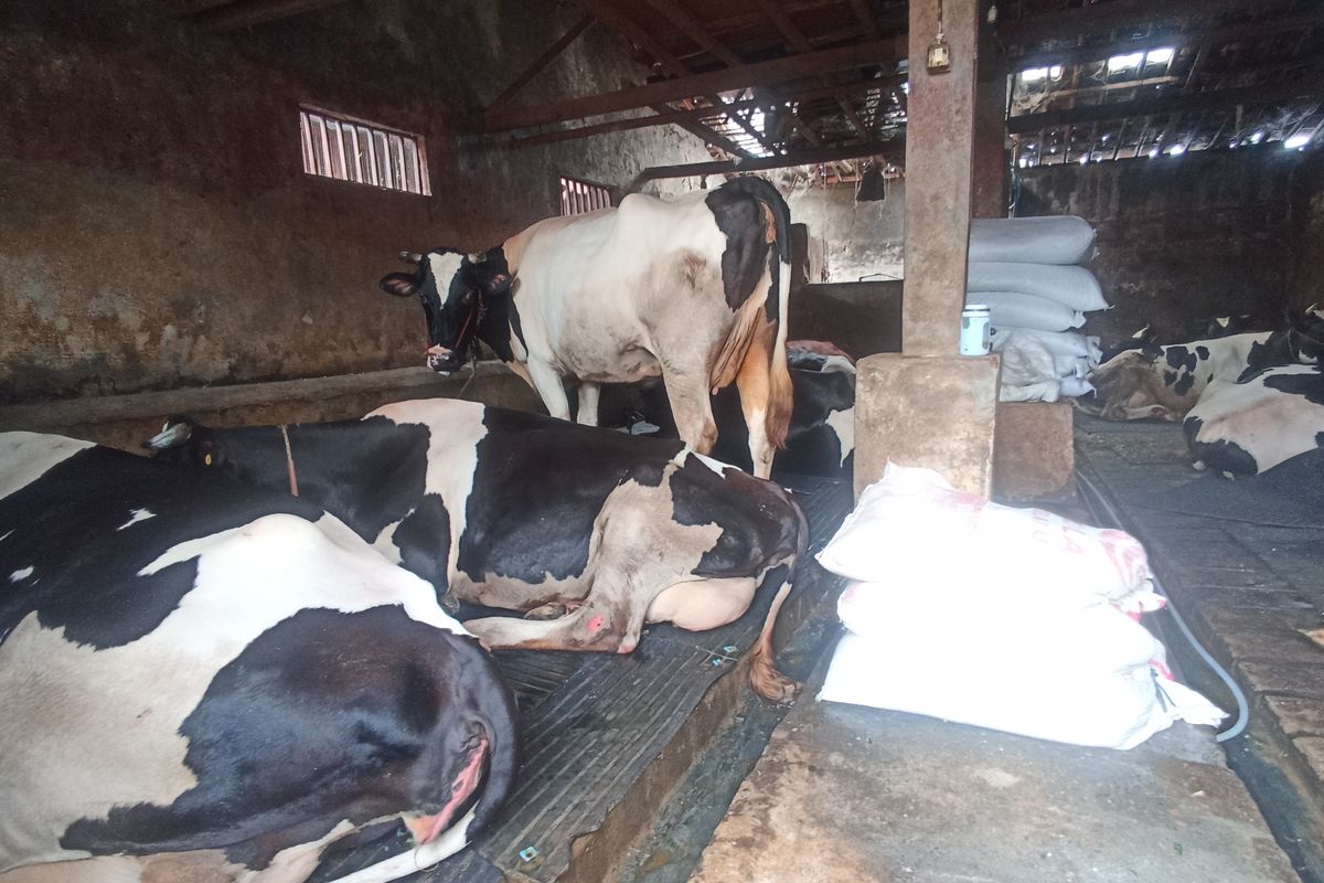 Oasis Urban yang Siap Jadi Destinasi Wisata Favorit