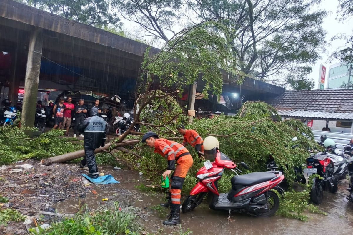 Hujan Deras di Bogor, 2 Motor Hancur Dihantam Pohon Tumbang!